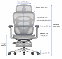 Chaise de bureau ergonomique en maille nylon 4D avec support lombaire à 6 rails et accoudoirs 5D en PU pour espaces de travail modernes et salons