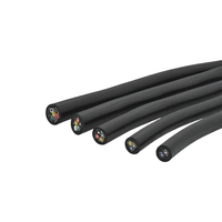 Câble de commande basse tension SZYL NH-KVV ignifuge IP68 750V/450V à âme en cuivre et gaine en PVC pour l'automatisation industrielle