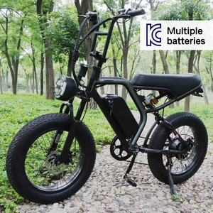 Vélo électrique tout-terrain certifié EU KC, 20 pouces, suspension intégrale, 7 vitesses, Eltrica pour la Corée du Sud - Product Image 4