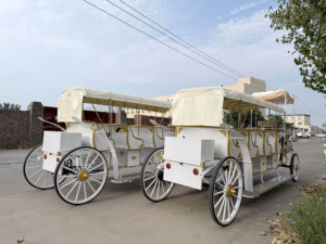 Carroza Eléctrica Personalizada de 4 Ruedas para Eventos Especiales, Limusina Turística Blanca de 4 Filas con Capacidad para 12 Personas - Product Image 4