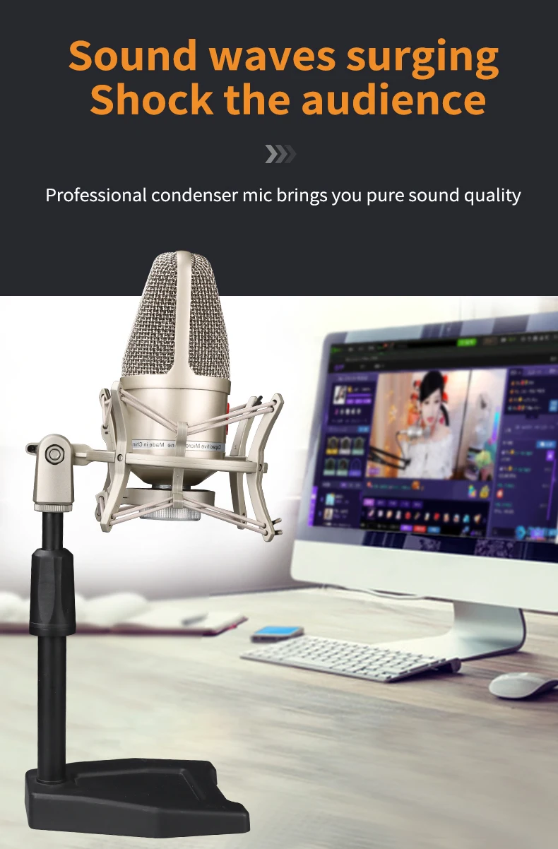 Large diaphragm mic condenser microphone for professional studio recording