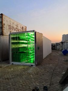 Gran calidad, <span class=keywords><strong>precio</strong></span> de fábrica, 1500kg/día automática/<span class=keywords><strong>Cebada</strong></span> trigo hierba verde hidropónico de forraje - Product Image 4