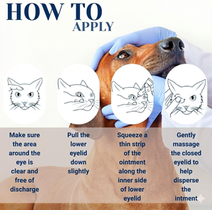 Crema y Ungüento para el Cuidado <span class=keywords><strong>de</strong></span> los Ojos <span class=keywords><strong>de</strong></span> Mascotas para Perros, Gatos, Ganado, Ovejas, Caballos, Aves, Cachorros y Gatitos - Aplicación Tópica Suave <span class=keywords><strong>de</strong></span> Uso Diario en Tubo - Product Image 6