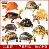 Les jouets solides pour enfants yxs simulent des modèles de vie marine : tortue étoilée indienne, tortue, tortue à carapace souple, crocodile-musc.