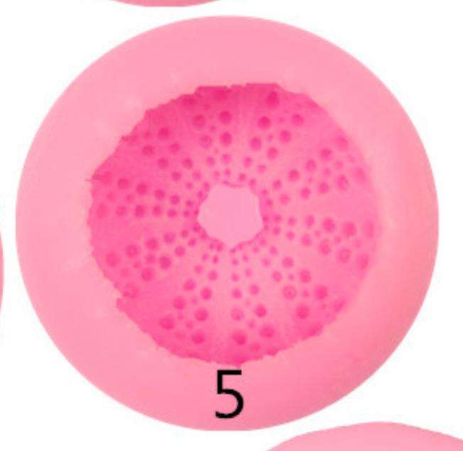 สีชมพู#5