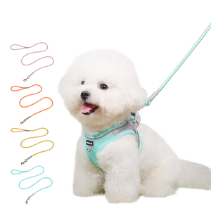 Laisse de traction pour chien, grande laisse multifonctionnelle anti-explosion Okinawa, en mousse, pour la promenade, avec contraste de couleurs - Product Image 5