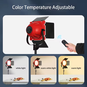Lumière vidéo 80w Led Redhead Éclairage photo Équipement de studio Film photo Mariage Remplissage de lumière capillaire Avec livraison rapide - Product Image 2