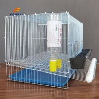 Cage à cailles FXL de petite taille avec abreuvoir automatique et plateau à œufs coulissant pour l'élevage de cailles coturnix, d'oiseaux et de volailles.