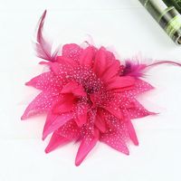 Accessoires de cheveux pour enfants : nœuds, barrettes, épingles et coiffes à plumes et fleurs pour la danse et les spectacles scolaires