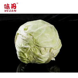 Séché à l'air <span class=keywords><strong>Chou</strong></span> Poudre - Product Image 5