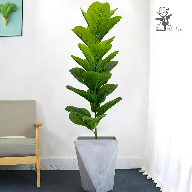 23 feuilles de banian piano 80cm-sans bassin