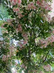 Albero Decorativo di Fiori di Prugna in Seta Naturale, Fiori in Lattice, Albero Artificiale di Fiori di Prugna per Decorazioni Casa, Matrimoni e Feste - Product Image 3