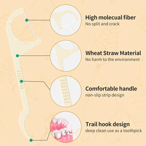 100% biyobozunur ağız bakımı Set organik mısır nişastası serin nane diş seçtikleri bambu kömür kaliteli kutulu doğal Pick - Product Image 3