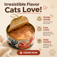 Alimentation humide pour chats MAIDOU, 85g, riche en protéines, poulet, nutrition santé, échantillon gratuit, OEM ODM usine