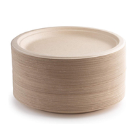 Assiette jetable biodégradable SUMKOKA de 9 pouces en bagasse de canne à sucre, vaisselle en pulpe de bagasse pour fêtes, vente en gros
