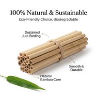 Pailles en bambou vert réutilisables en gros, 8*200mm, pour boisson