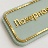 Plaques de nom personnalisées en acrylique vert menthe et or pour maisons, appartements commerciaux et dortoirs – Décoration moderne et élégante, facile à installer