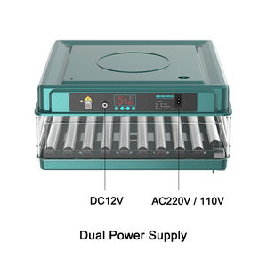 Nuevo Tipo <span class=keywords><strong>de</strong></span> Incubadora y Nacedora Automática para 48 <span class=keywords><strong>Huevos</strong></span> <span class=keywords><strong>de</strong></span> Pollo - Product Image 4