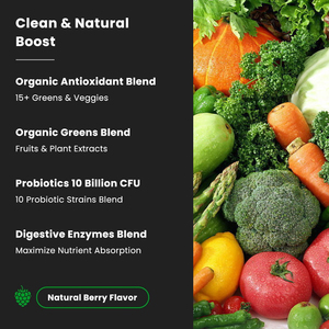 Oem Veganistisch Kruid Extract Super Greens Mix Organische Superfoods Probiotica Poeder Energiedrank Enzymen Energie Detox Poeder - Product Image 4