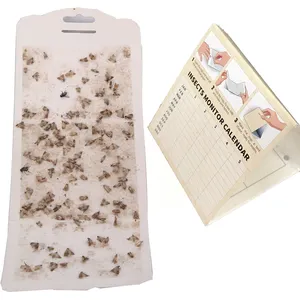 Hook Pheromones Attractant Insect Glue Trap Board Clothes Moth and Pantry Moth  Killer - China Moth and Pantry Moth price