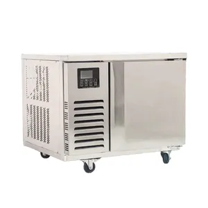 Professional Manufacturing Freezers Deep Freezers Fast Coolers Refrigerators