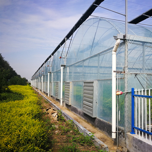 Serre multi-travées de grande taille avec double couche PC Board et film plastique Ventilation Agriculture Offre Spéciale de serre - Product Image 6