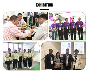 Té Natural de <span class=keywords><strong>Paraguay</strong></span>, Extracto de Hoja de Yerba Mate en Polvo, Polvo de Té de Yerba Mate - Product Image 4