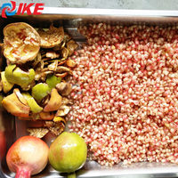 Elektrische Rvs Oranje Grapefruit Tool Granaatappel Dunschiller Passie Fruit Dunschiller Zaden Separator Machine