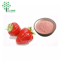 FD Aardbeipoeder of SD Aardbeienfruitpoeder Aardbeienjuicepoeder