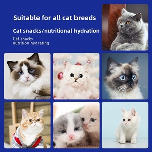 Snacks para Gatos Ishtar al por Mayor; Golosinas para Gatos Adultos y Gatitos, Incluido el British Shorthair; Nutritivas con Pollo y Salmón - Product Image 2