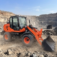 Kostenloser Versand Euro 5 Radlader Hydraulisch 4x4 Allrad Frontschaufellader für Hofarbeit Diesel-Lader für Baumaschinen