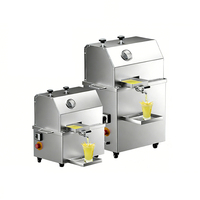 Fabrieksdirect 220V Dubbele Roller Suikerrietmolen Laag Geluidsniveau 300kg/u voor Juice Bar