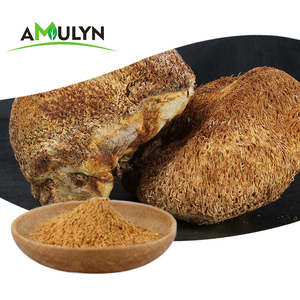 AMULYN 100% organico hericium Erinaceus polisaccaridi 30% idrosolubile leoni criniera fungo estratto Beta glucano 30% polvere - Product Image 6