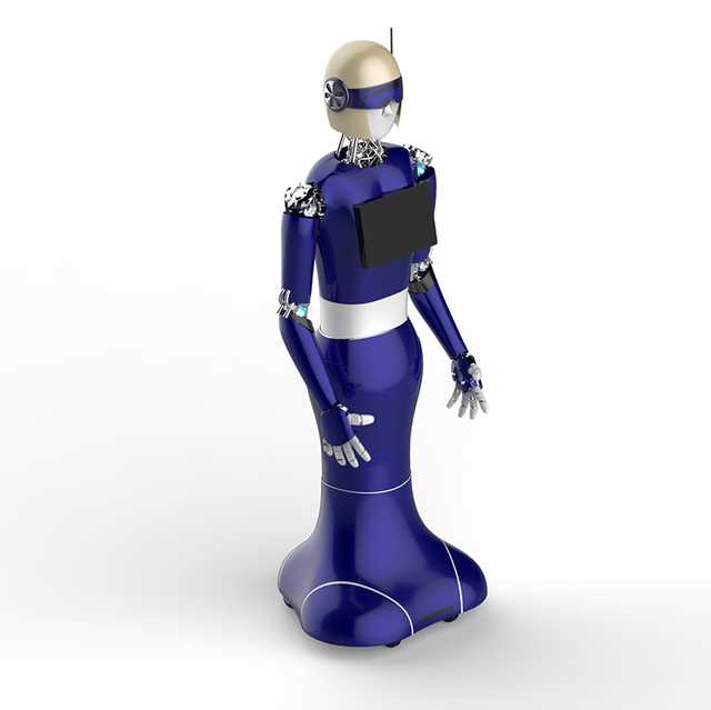Intelligent Humanoid Autonomous Reception Robot Programmable Used Robot