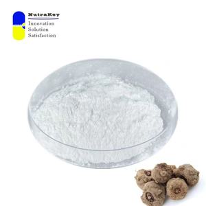 Premium Glucomannan 90% Poudre | Extrait de racine de konjac pour la perte de poids et le soutien du cholestérol | Fibres alimentaires solubles - Product Image 1