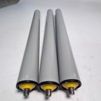 Rouleau de convoyeur industriel en acier à double pignon, neuf, vente en gros d'usine, personnalisable pour hôtels, avec garantie de 2 ans