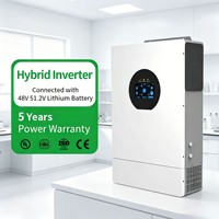 Système solaire hybride 5KW MPPT 5000W avec onduleur à onde sinusoïdale pure, batterie au lithium LiFePO4, pour stockage résidentiel et alimentation industrielle