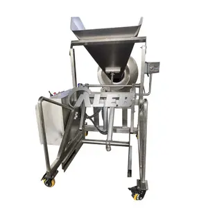 Fully automatic Meat bin hoist/seasoning hopper