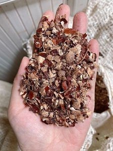 [ลดราคาพิเศษ 2024] - เปลือกเม็ดมะม่วงหิมพานต์ ใช้สำหรับอาหารสัตว์ คุณภาพสูงจากเวียดนาม / เกรดพรีเมียม ราคาดี ขาย - Product Image 3