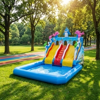 Toboggan aquatique gonflable avec piscine à jets d'eau pour jardin, fête à domicile, toboggan aquatique pour enfants, directement de l'usine, certifié CE, personnalisable
