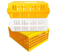 Panier de transport pour poulets et canards en plastique de haute qualité, type A, pour cage d'animaux, utilisation en ferme