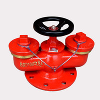 Petit hydrant d'incendie flexible SN65, armoire d'hydrant d'incendie 100 mm, 2 voies, extérieur, DN65 PN16, fonte ductile