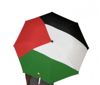 Parapluie Palestine, drapeau national, imperméable, pliable, 21 pouces, pour enfants, en tissu pongé, couleur et logo personnalisables