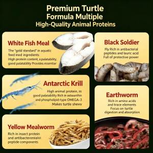 Alimento Premium para Tortugas PORPOISE, Alto en Proteínas, Pellets para Tortugas Depredadoras, Probióticos, Apoyo a la Salud Intestinal, Crecimiento de Caparazón y Huesos - Product Image 2