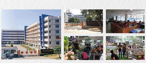 Fábrica direta <span class=keywords><strong>polystone</strong></span> figura tortoise design tartaruga estátua resina artesanal animal escultura figura - Product Image 6