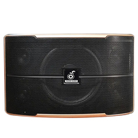 Haut-parleurs de karaoké PH-10 bidirectionnels 10 pouces 200W pour utilisation KTV/Party DJ-Système de haut-parleurs sans fil