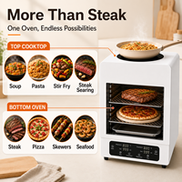Steaks de qualité restaurant partout dans le monde 800 ° C 1472 ° Four à steak breveté F pour le camping, la plage, les pique-niques, les camping-cars, le barbecue Salamander, le grill à steak
