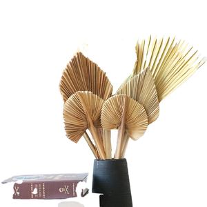 Yunnan all'ingrosso varie forme stili diversi palme secche naturali <span class=keywords><strong>foglie</strong></span> palme - Product Image 5