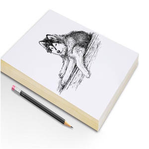 Goldtec पर्यावरण उच्च चमकदार स्वयं चिपकने वाला डाली लेपित स्टीकर कागज - Product Image 6