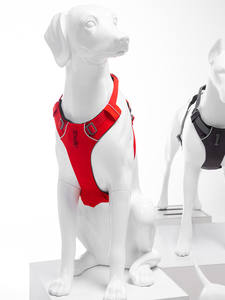Nouveau <span class=keywords><strong>Mannequin</strong></span> de Poitrine et de Dos pour Chien en Fibre de Verre Détachable, Modèle G9 Entièrement Fait Main pour Vêtements pour Animaux et Présentations en Direct Dugao Dog Show - Product Image 2